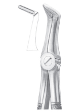 Fig. 49 upper roots